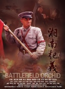 三国无双英雄搭配：最强阵容构建指南